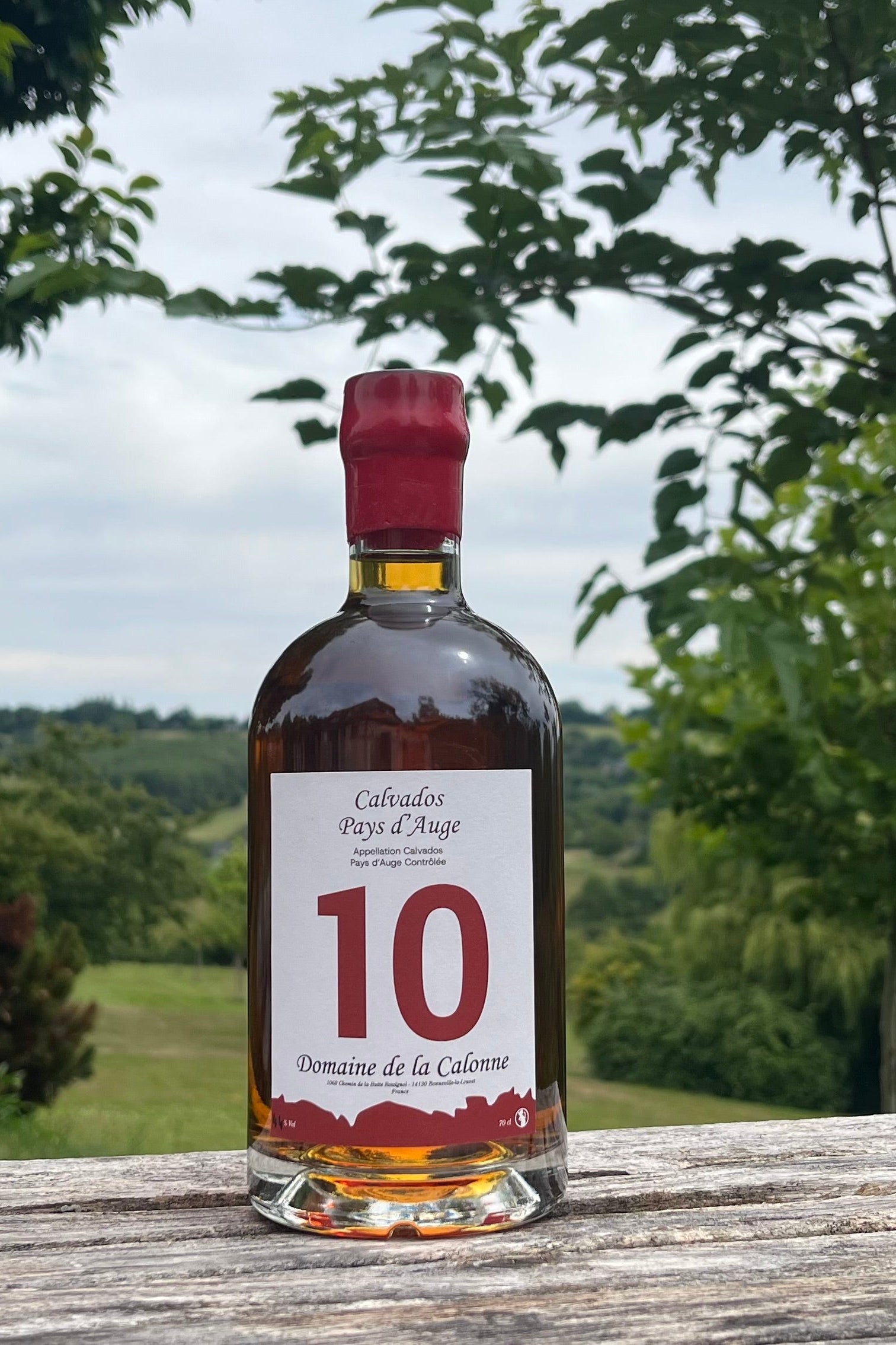Calvados Pays d'Auge 10 ans - 45 degrés