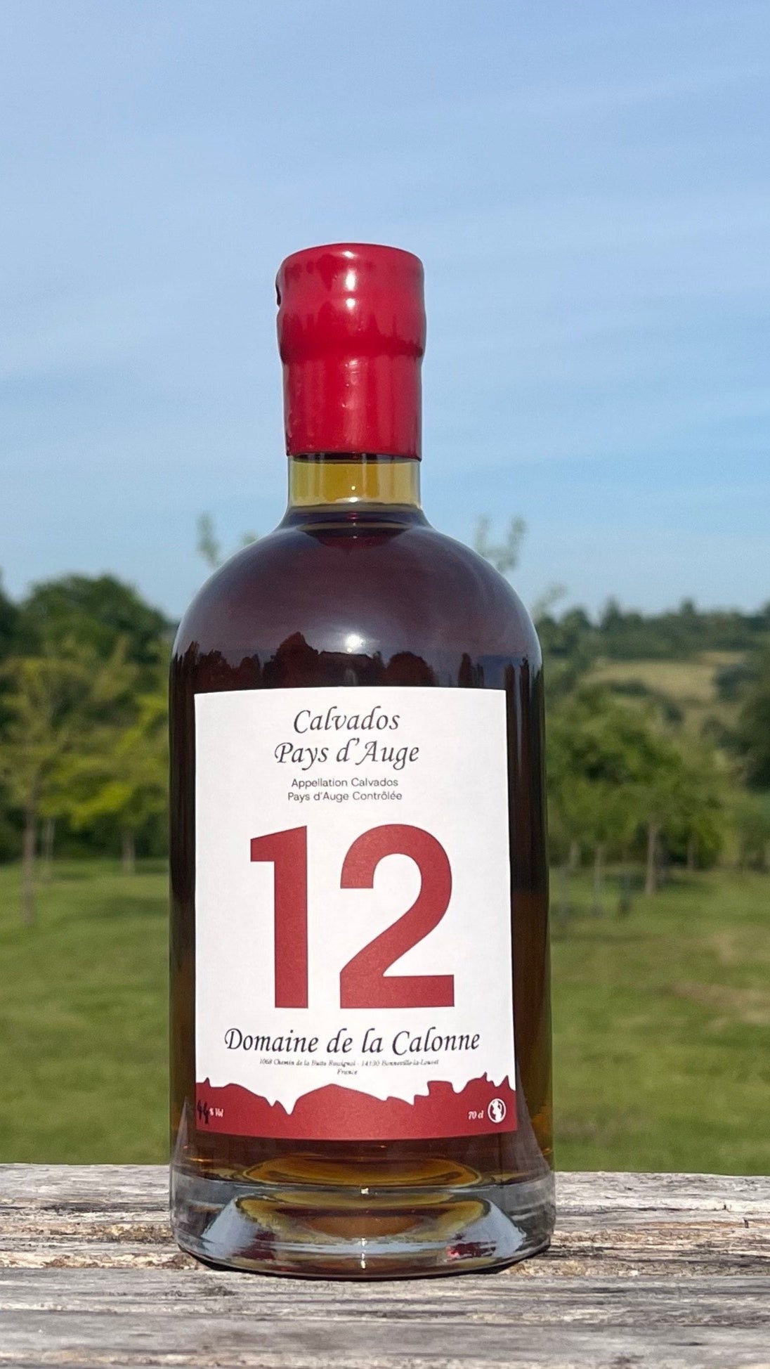 Calvados Pays d'Auge 12 ans - 44 degrés