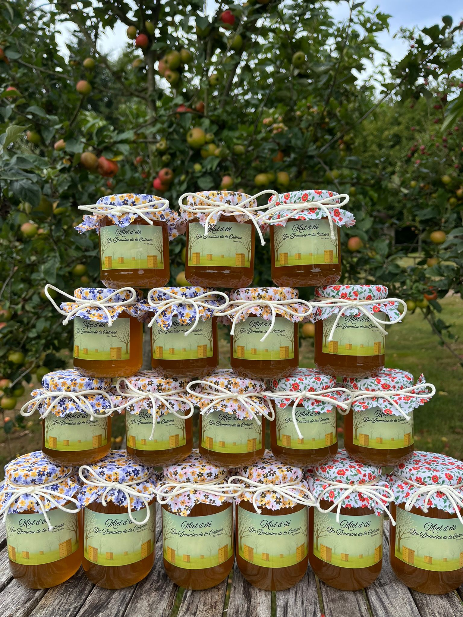 Miel de nos vergers (500 grammes)