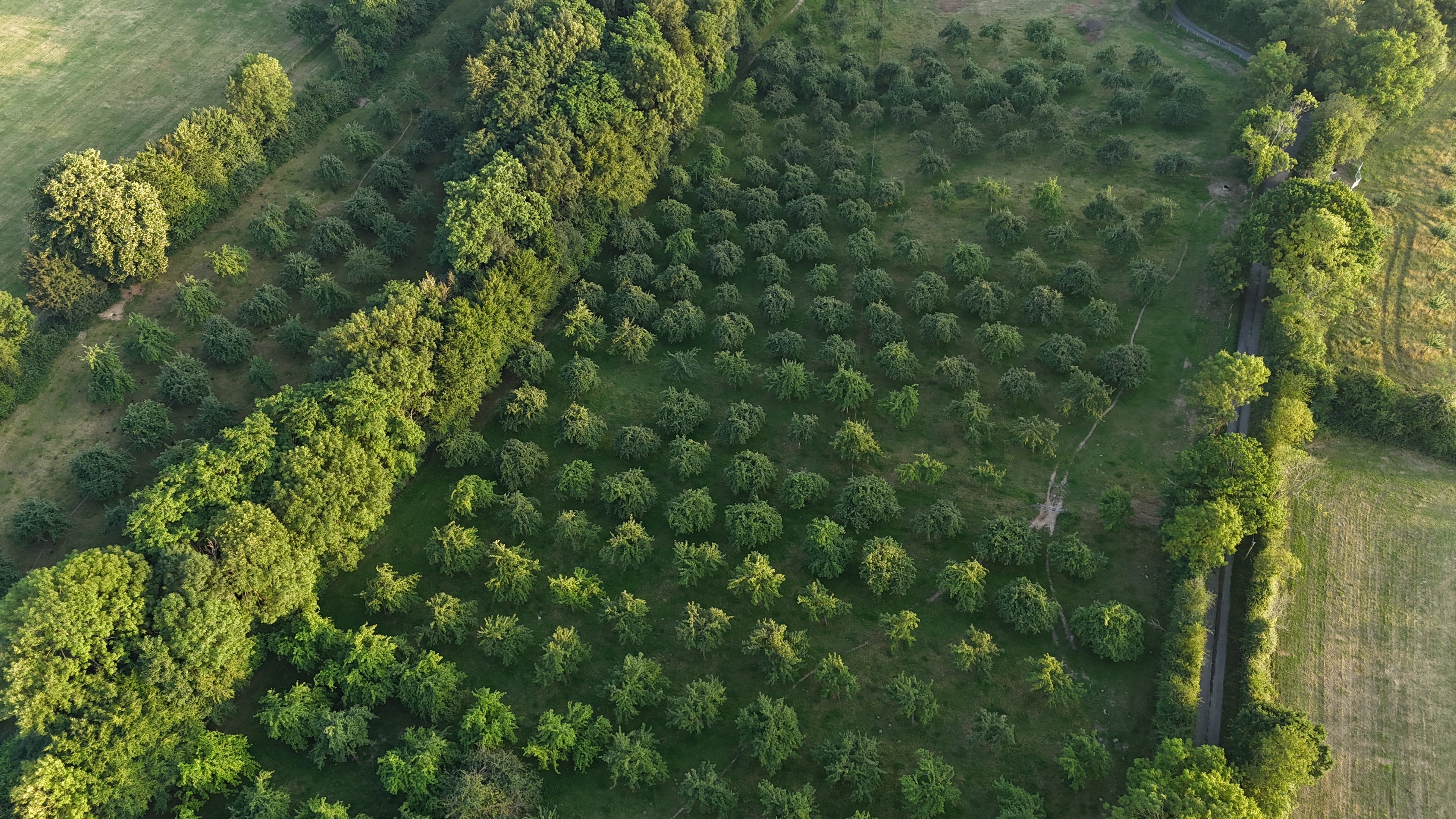 Photo prise par drone 